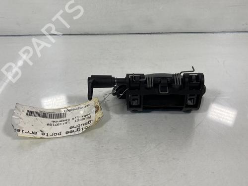 Rear left exterior door handle PEUGEOT 206 Hatchback (2A/C)  | BP20013043C130 