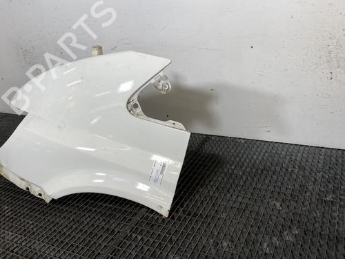Left front fenders FORD TRANSIT Van (FA_ _) 2.0 DI (FAE_, FAF_, FAG_) | BP23220304C41 