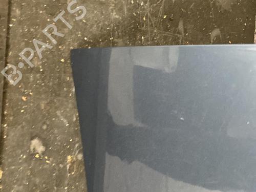 Used Hood Hood DACIA SANDERO 1.5 dCi (88 hp) 21956451 21956451