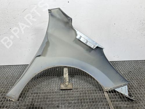 Left front fenders PEUGEOT 207 (WA_, WC_) 1.6 HDi | BP29413589C41 