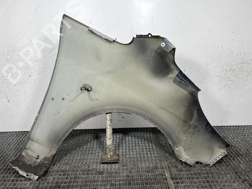 Left front fenders PEUGEOT 1007 (KM_) 1.4 HDi | BP29968514C41
