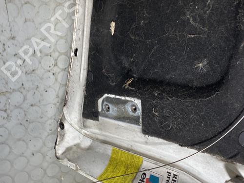 Hood RENAULT TRAFIC Van (T_, P_, V_) 2.1 D | BP22179991C1
