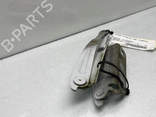 hingedoor-check-strap-dacia-duster-hs_-2010-2011-2012-2013-2014-2015-2016-2017-2018-24427590 main image