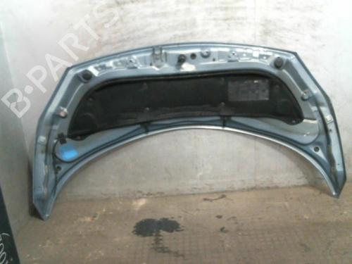 Hood RENAULT GRAND SCÉNIC II (JM0/1_) 1.9 dCi (JM14) | BP20003097C1 