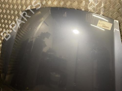 Hood FIAT BRAVO II (198_) 1.9 D Multijet (198AXE1A) | BP21955686C1 
