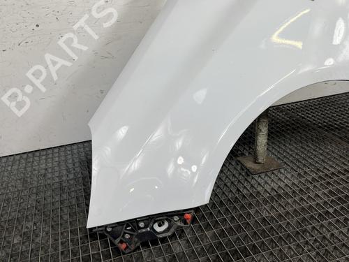 Błotnik przedni lewy OPEL CORSA D (S07) 1.3 CDTI (L08, L68) | BP30900370C41