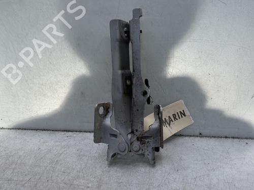 hingedoor-check-strap-citroen-c3-ii-sc_-2009-33648464 main image