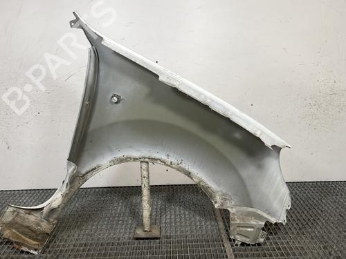 Left front fenders RENAULT KANGOO Express (FC0/1_) 1.5 dCi (FC07, FC1R) | BP29200893C41 