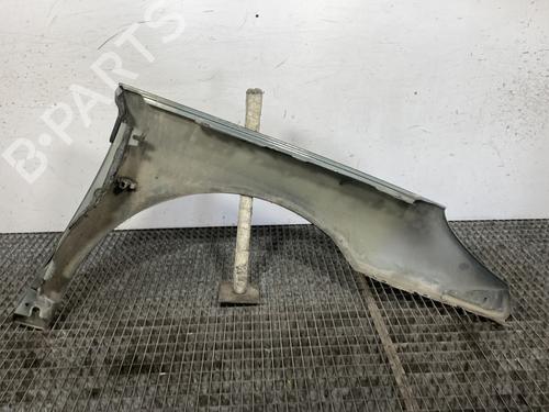 Left front fenders PEUGEOT 407 SW (6E_, 6D_) 1.6 HDi 110 | BP26000356C41 