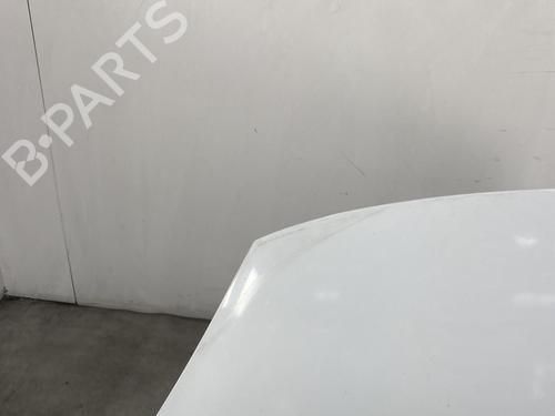 Hood RENAULT SCÉNIC III (JZ0/1_) 1.9 dCi (JZ0J, JZ1J, JZ1K, JZ1S) | BP19954873C1