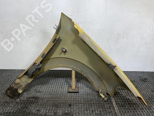 Left front fenders CITROËN C3 I (FC_, FN_) 1.4 HDi | BP21963315C41 