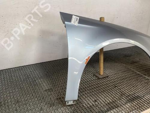 Used Right front fenders VW PASSAT B6 (3C2) 2.0 TDI 16V (140 hp) 21962814