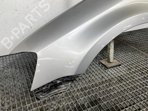 Left front fenders VW CC B7 (358) | BP30059806C41