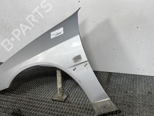 Left front fenders PEUGEOT 306 Hatchback (7A, 7C, N3, N5) 2.0 HDI 90 | BP27817917C41 