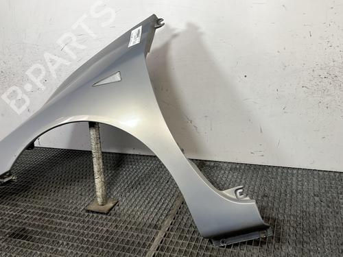 Left front fenders RENAULT ESPACE IV (JK0/1_) 2.2 dCi (JK0H) | BP29842203C41 