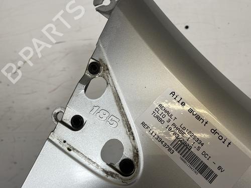 Right front fenders RENAULT CLIO III (BR0/1, CR0/1) 1.5 dCi (BR17, CR17) | BP29707650C42 
