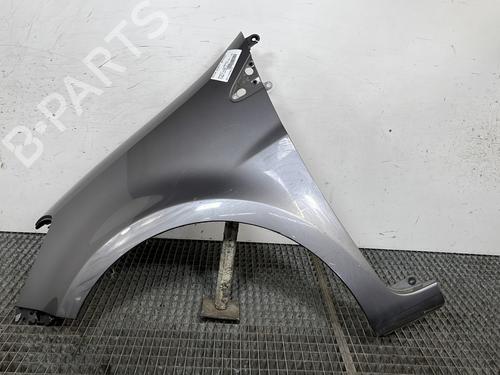 Left front fenders RENAULT CLIO III (BR0/1, CR0/1) 1.5 dCi (C/BR0G, C/BR1G) 631014270R