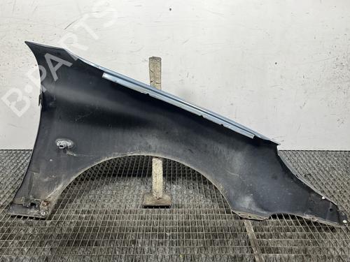 Left front fenders PEUGEOT 206 CC (2D) 1.6 HDi 110 | BP28279799C41 