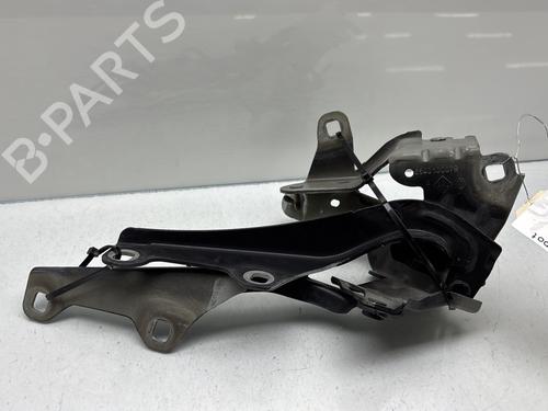 Used Hinge/Door check strap RENAULT LAGUNA Coupe (DT0/1) 2.0 dCi (DT01, DT08, DT09, DT0K, DT12, DT1C, DT1D, DT1M,... (150 hp) 29841530