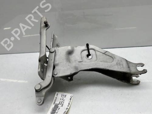Hinge/Door check strap BMW X5 (E70)  | BP19950531C146 