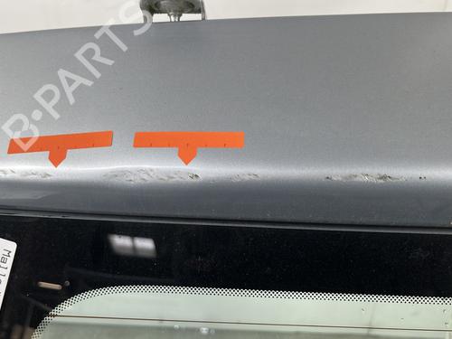 Tailgate FIAT GRANDE PUNTO (199_) 1.3 D Multijet | BP29841452C6