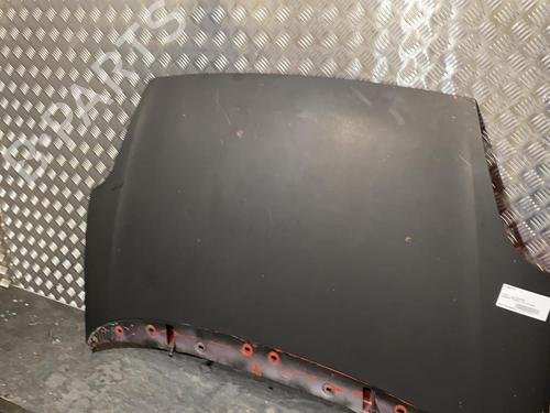 Used Hood FIAT GRANDE PUNTO (199_) [2005-2025]  19979639