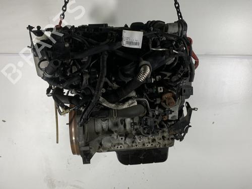 Used Engine FORD FIESTA VI (CB1, CCN) 1.5 TDCi (75 hp) 21960716