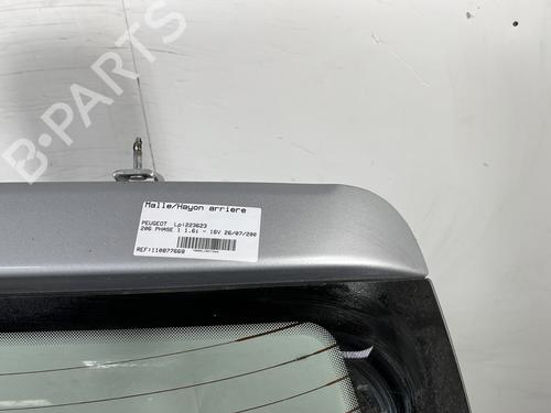 Tailgate PEUGEOT 206 Hatchback (2A/C) 1.6 16V | BP28336202C6 