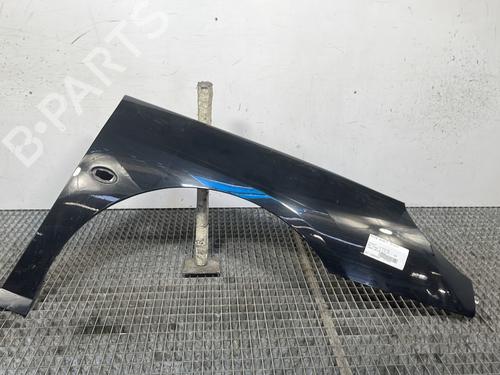 Right front fenders PEUGEOT 407 (6D_) 2.0 HDi (6DRHRH) 7841Q9