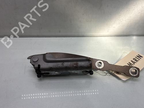 hingedoor-check-strap-dacia-sandero-ii-2012-33774272 main image