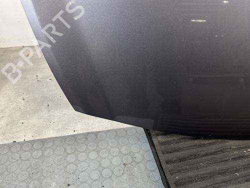 Hood RENAULT CLIO III (BR0/1, CR0/1) 1.5 dCi (C/BR0G, C/BR1G) | BP30720029C1