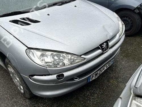 Bakluke CC/Kombi-Kupé PEUGEOT 206 Hatchback (2A/C) 1.4 HDi eco 70 | BP30702477C6