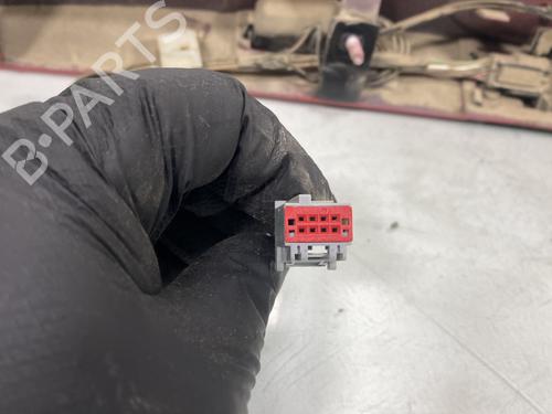 Éclairage de plaque d'immatriculation FORD KUGA II (DM2) 2.0 TDCi | BP31213410I40 