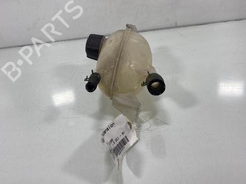 Expansion tank RENAULT CLIO IV (BH_) 1.5 dCi 75 | BP19968796C120 