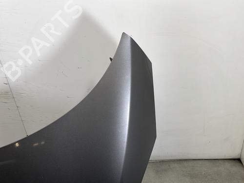 Hood RENAULT SCÉNIC III (JZ0/1_) 1.5 dCi | BP30389324C1 