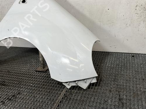 right-front-fenders-renault-kangoo-express-fw01_-2008-33484896 main image