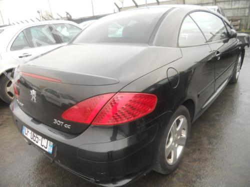 Tailgate PEUGEOT 307 CC (3B) 2.0 16V | BP20004128C6 