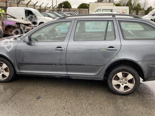 Right rear door SKODA OCTAVIA II Combi (1Z5) 1.9 TDI | BP29425584C5 