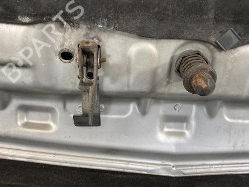 Hood OPEL SIGNUM Hatchback (Z03) 1.9 CDTI (F48) | BP21956074C1 