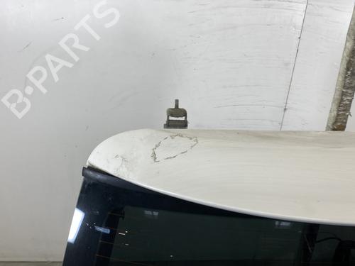 Used Tailgate Tailgate 21690025 21690025