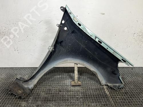 Left front fenders RENAULT CLIO III (BR0/1, CR0/1) 1.5 dCi (BR17, CR17) | BP31641424C41