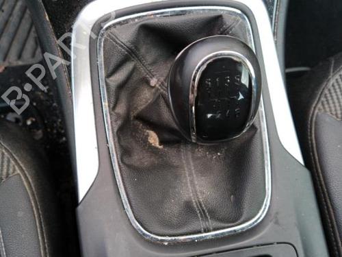 Fuel cap OPEL INSIGNIA A (G09) 2.0 CDTI (68) | BP19994703C161 