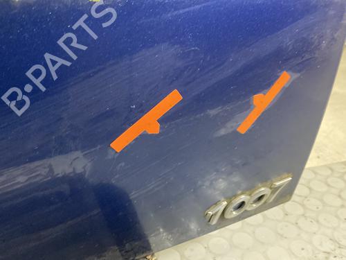 Tailgate PEUGEOT 1007 (KM_) 1.4 | BP21964206C6 