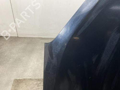 Panser FORD FOCUS C-MAX (DM2)  | BP21961172C1 