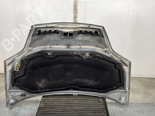 Hood RENAULT SCÉNIC I MPV (JA0/1_, FA0_) 1.9 dTi (JA0N) | BP28210386C1 