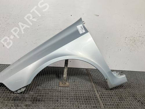 Used Left front fenders RENAULT LAGUNA II (BG0/1_) 1.9 dCi (107 hp) 31091597