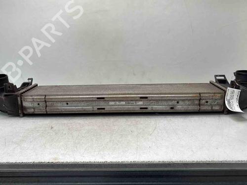 Intercooler LAND ROVER RANGE ROVER EVOQUE (L538) 2.2 D | BP36549385M30  - Image 6