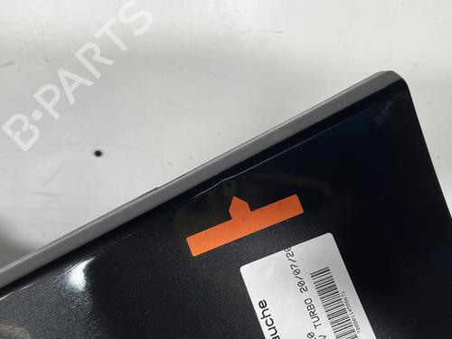 Left front fenders PEUGEOT 1007 (KM_) 1.4 HDi | BP29968514C41