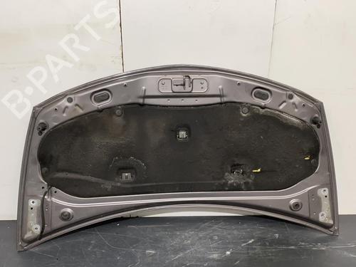 Used Hood RENAULT CLIO III (BR0/1, CR0/1) 1.5 dCi (BR17, CR17) (86 hp) 28625477