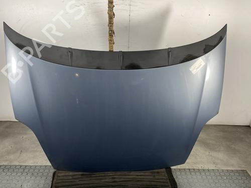 Used Hood FIAT GRANDE PUNTO (199_) 1.2 (65 hp) 24538257